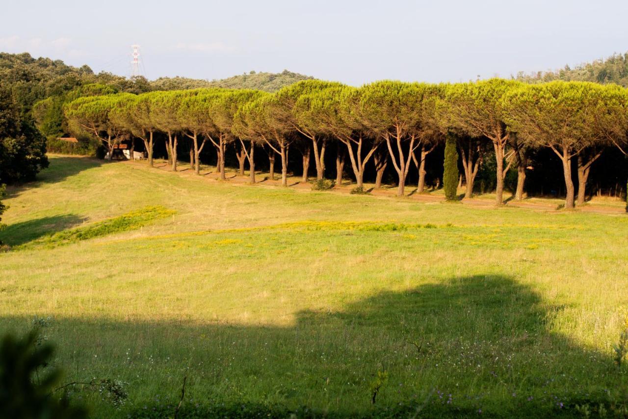 Almanuda Naturist Village Sutri Esterno foto